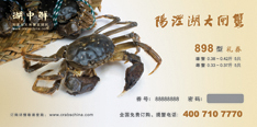 供应898型阳澄湖大闸蟹礼券